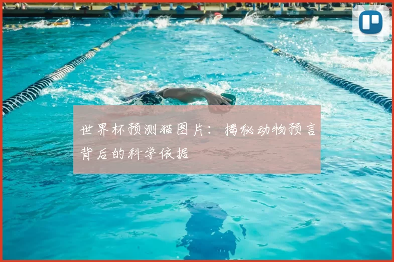 世界杯预测猫图片：揭秘动物预言背后的科学依据