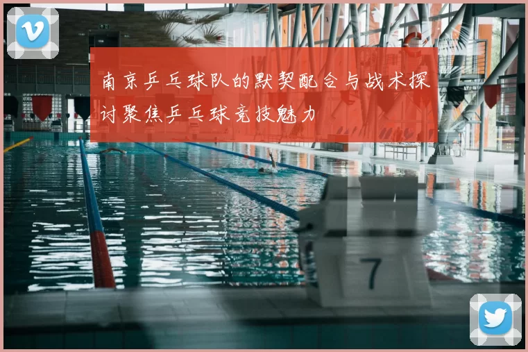 南京乒乓球队的默契配合与战术探讨聚焦乒乓球竞技魅力