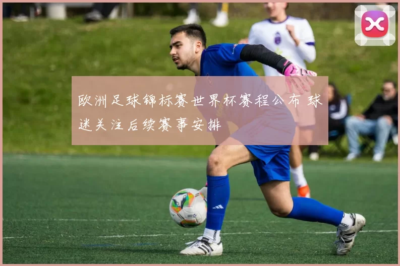 欧洲足球锦标赛世界杯赛程公布 球迷关注后续赛事安排