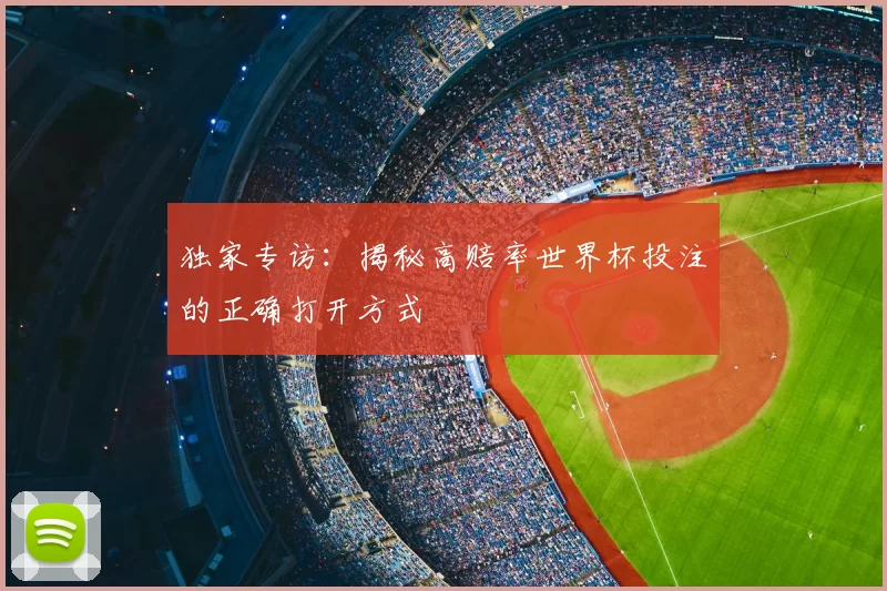 独家专访：揭秘高赔率世界杯投注的正确打开方式