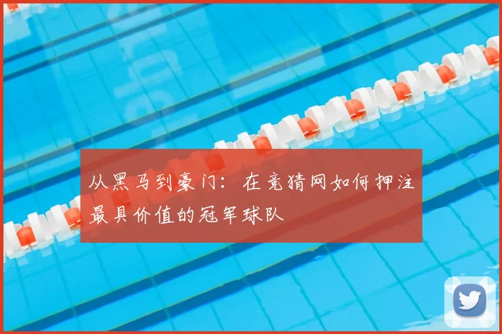 从黑马到豪门:在竞猜网如何押注最具价值的冠军球队