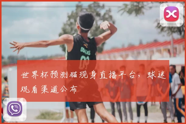 世界杯预测猫现身直播平台，球迷观看渠道公布