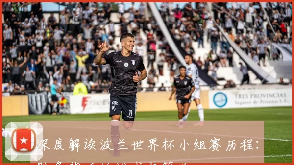 深度解读波兰世界杯小组赛历程：胜负背后的战术与策略