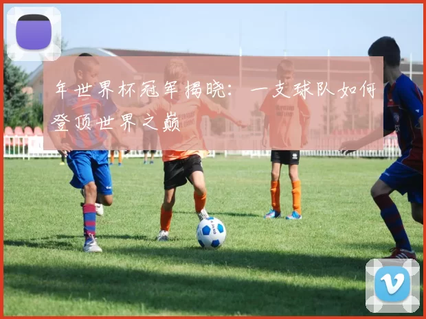 年世界杯冠军揭晓：一支球队如何登顶世界之巅